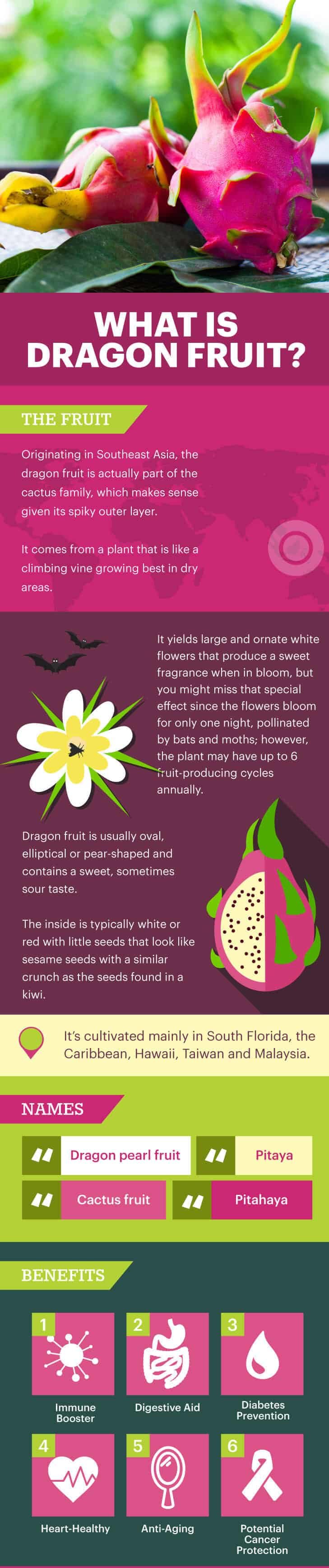 What is dragon fruit? - Dr. Axe